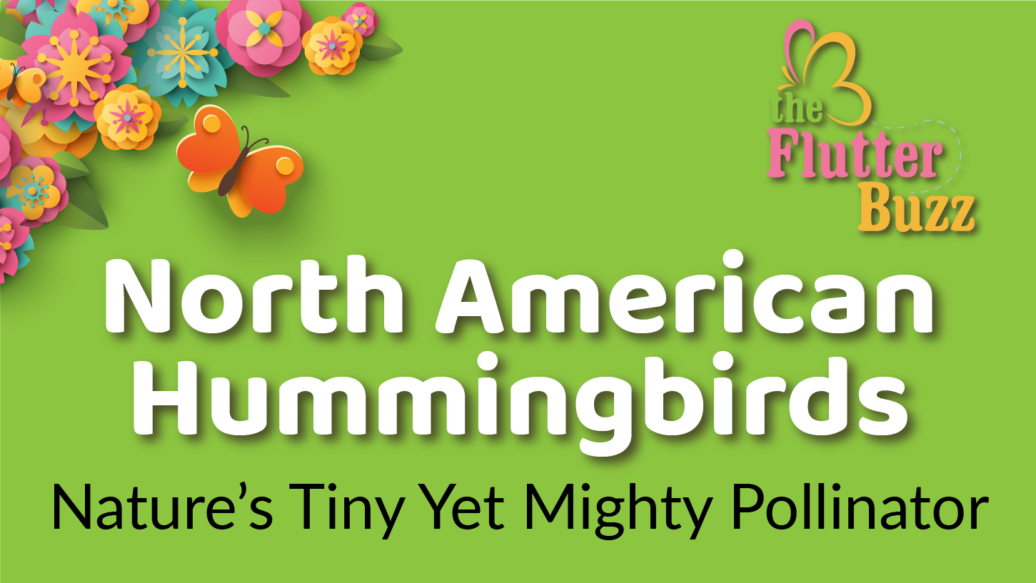 North American Hummingbirds: Nature's Tiny Yet Mighty Pollinators