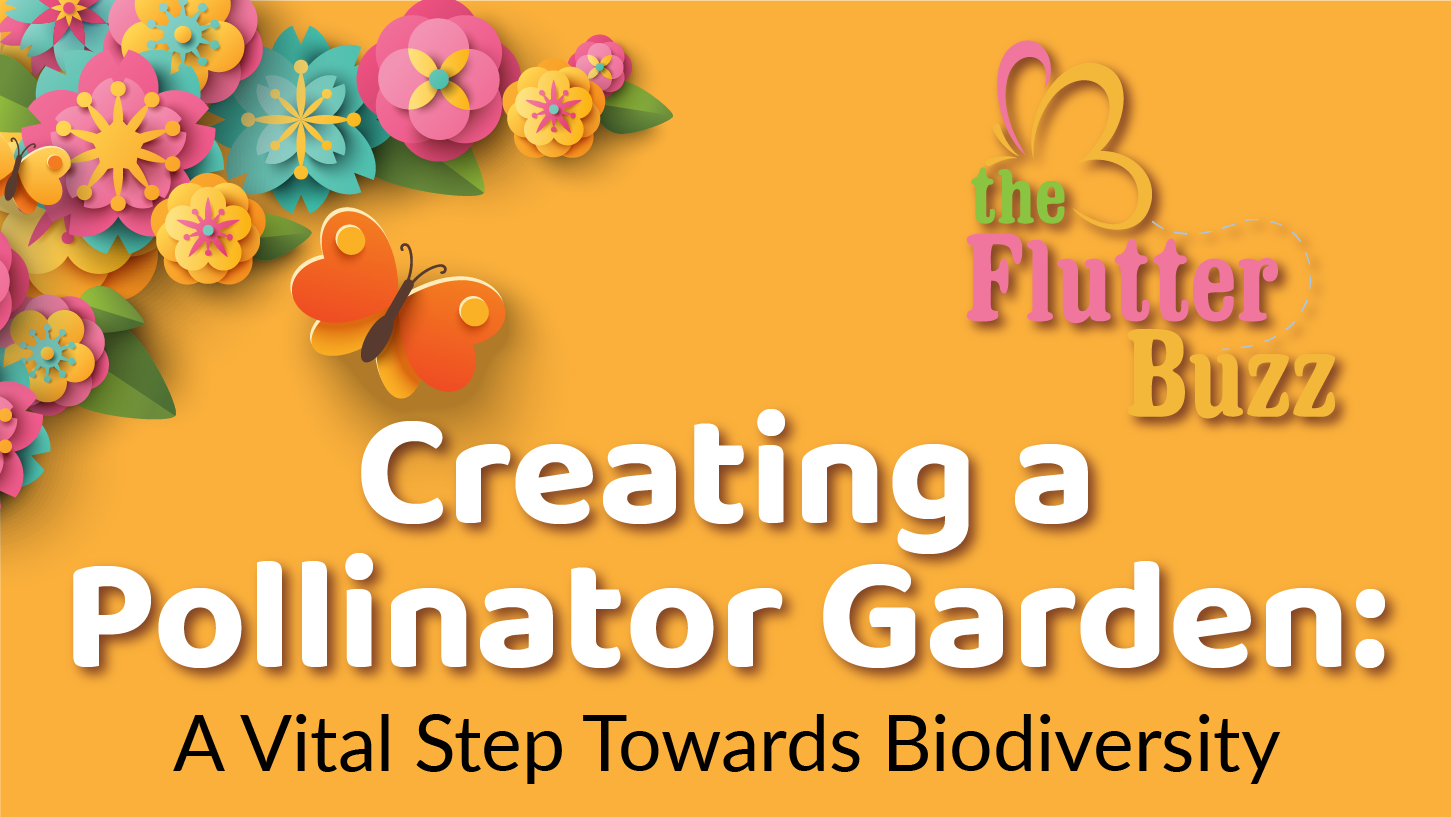 Creating a Pollinator Garden: A Vital Step Towards Biodiversity