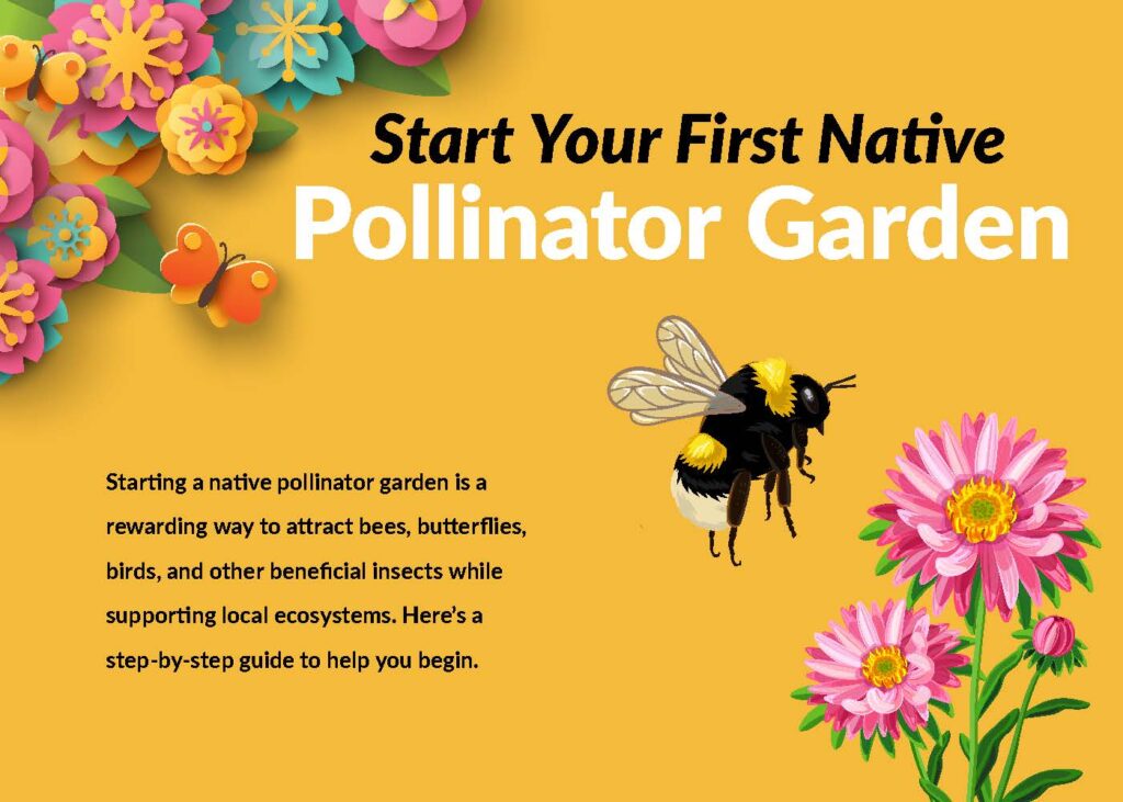 Start Your First Pollinator Garden